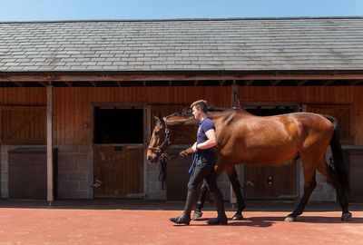 British Equestrian invites tenders for landmark equestrian workforce insights project