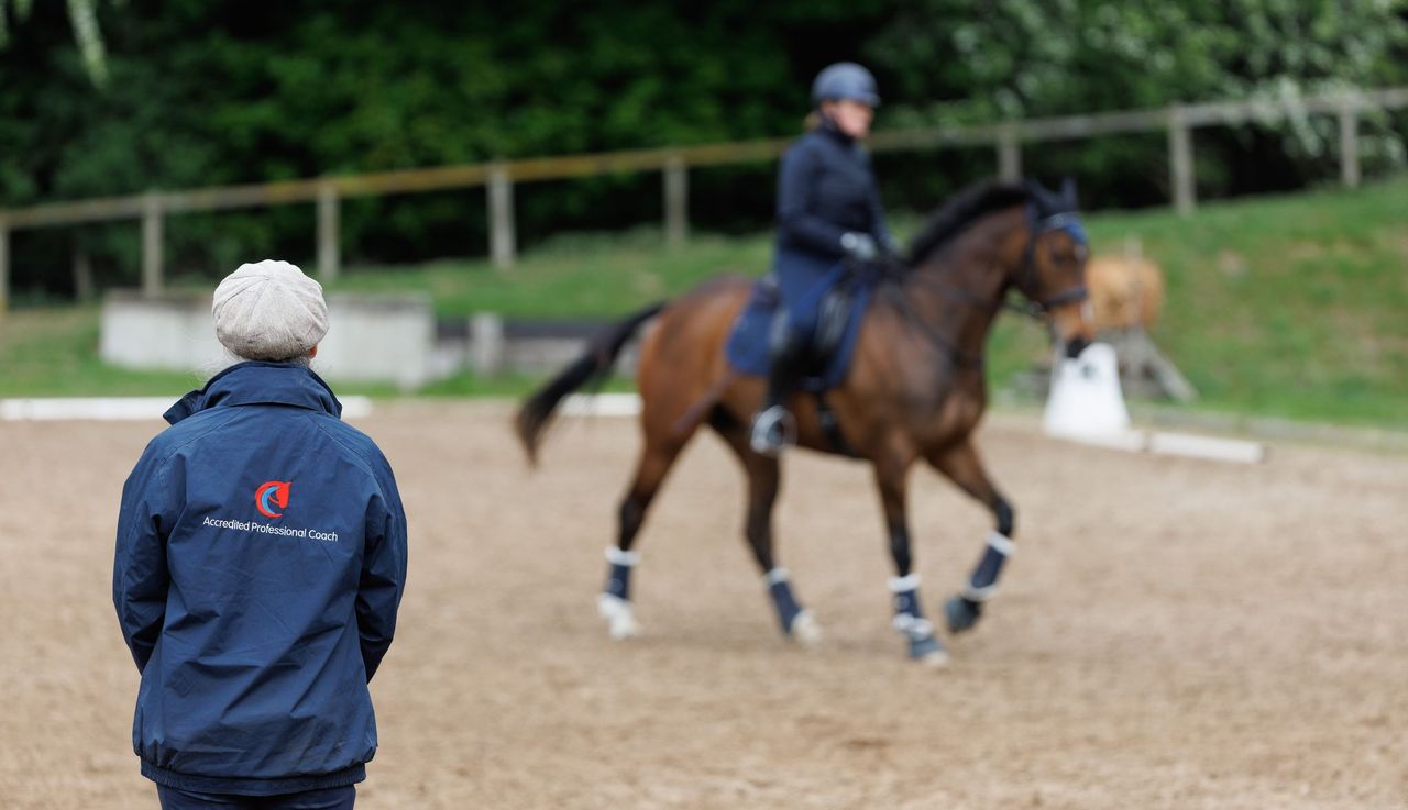 British Equestrian - British Equestrian to host online information day ...