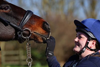 Key takeaway messages from Equine Health Week 2026