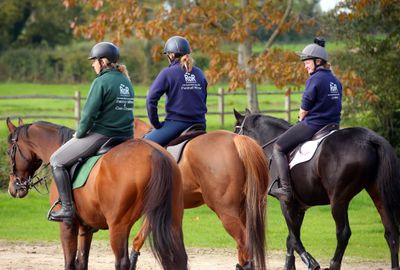 Former racehorses gain a stronger voice as Retraining of Racehorses joins British Equestrian