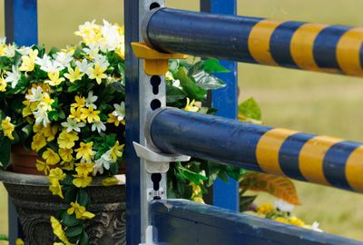 British Equestrian and British Showjumping respond to  FEI rule change on rider-induced blood