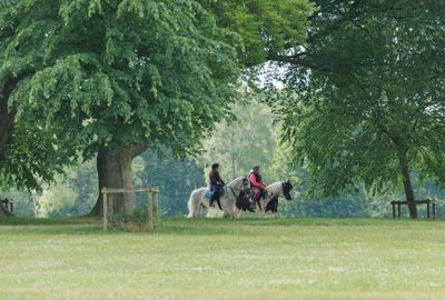 World Mental Health Day: Protecting Your Mental Health with Riders Minds